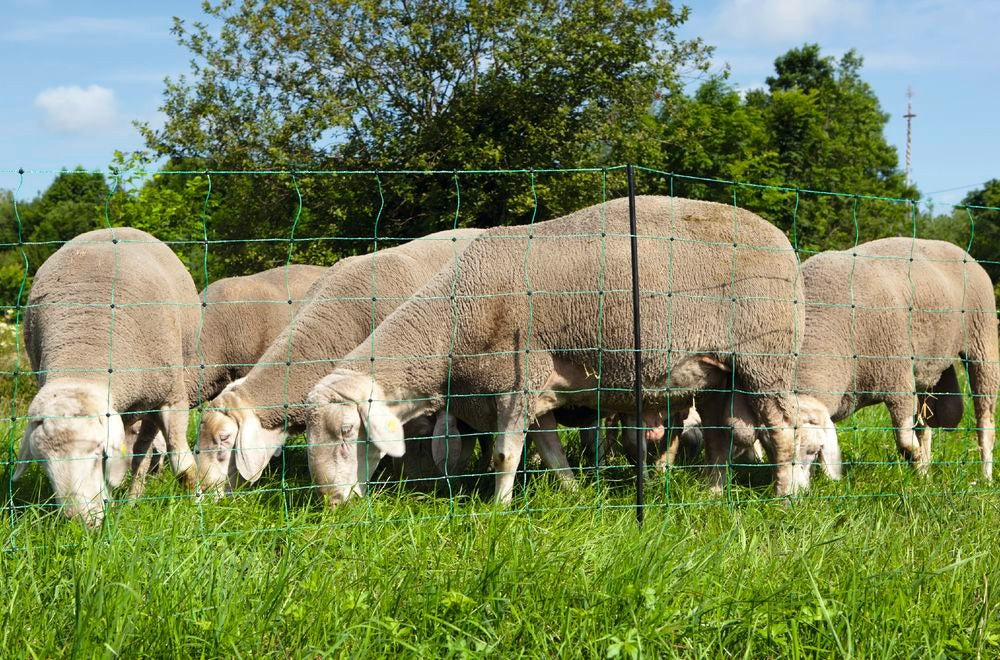 Schafnetz 90cm 50m Einzelspitze grün elektrifizierbar