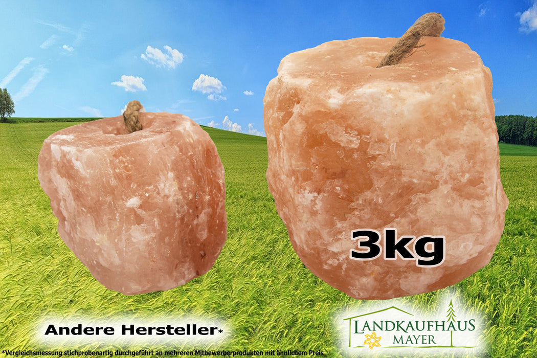 Salzleckstein aus der Saltrange in Pakistan 6 Stück!!! ca.19,5 kg Typ "Himalaya"